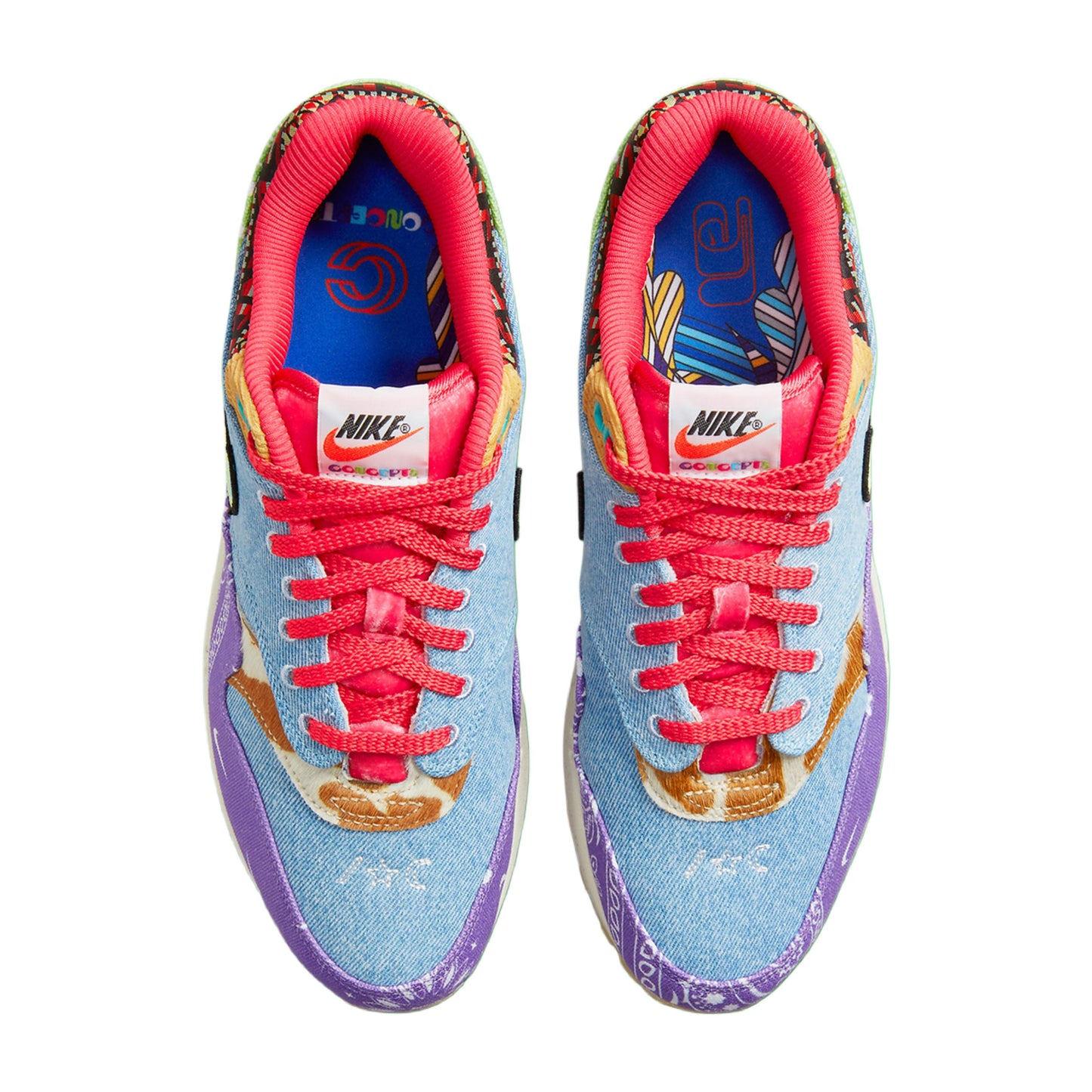 Nike Air Max 1 SP Concepts Far Out